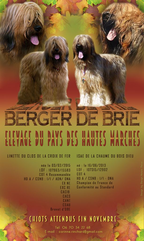 Du Pays Des Hautes Marches - LINETTE et ISAE